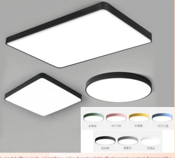 QS-XDD-TY Iron Art Ceiling Light