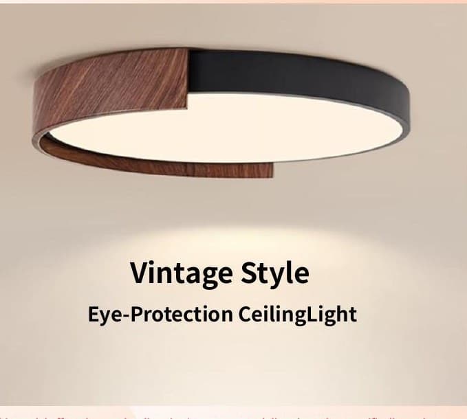 QS-XDD-ZGBB-010 Vintage Half-Side CeilingLamp