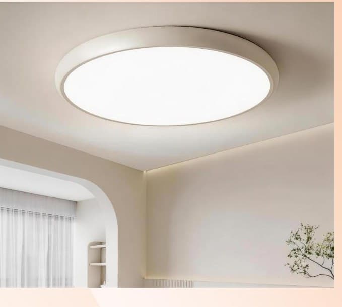 QS-XDD-BYTY Half-round iron art ceiling lamp