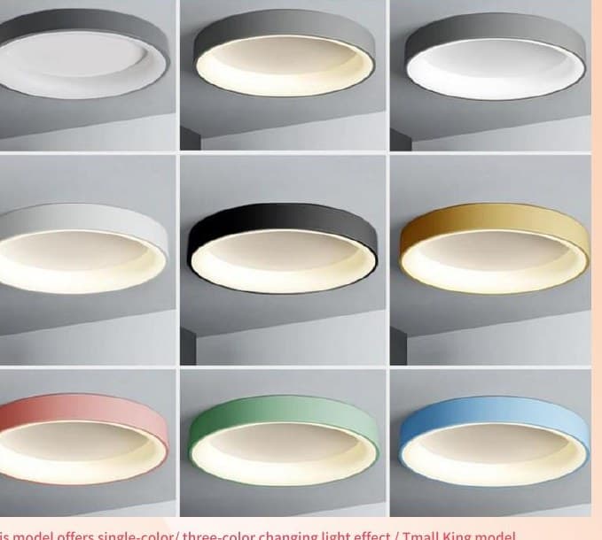 QS-XDD-WHTY Internet-famous ironwork ceiling lamp