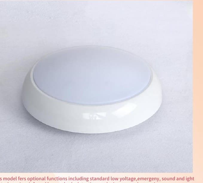 QS-XDD-FSGB-024 Waterproof Ceiling Lamp