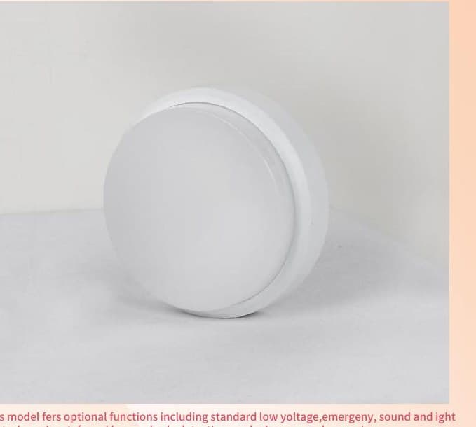 QS-XDD-XFS-027 Waterproof Ceiling Lamp
